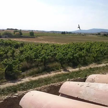 D'hotes Le Massanous Laure-Minervois