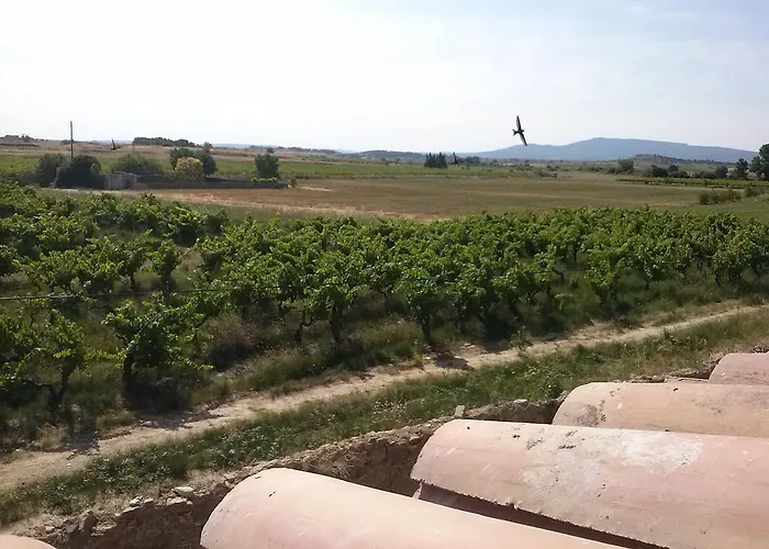 D'hôtes Le Massanous Laure-Minervois